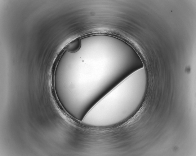 X0000099551034200805160721