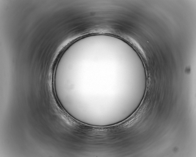 X0000099551035200805160721