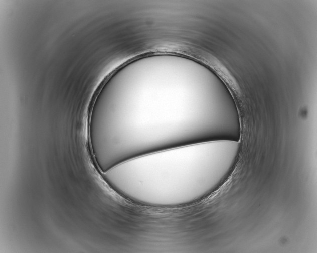 X0000099551036200805160721