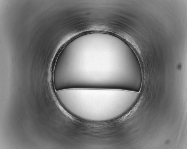 X0000099551037200805160721
