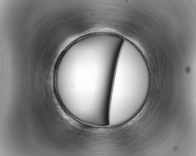 X0000099551038200805160721