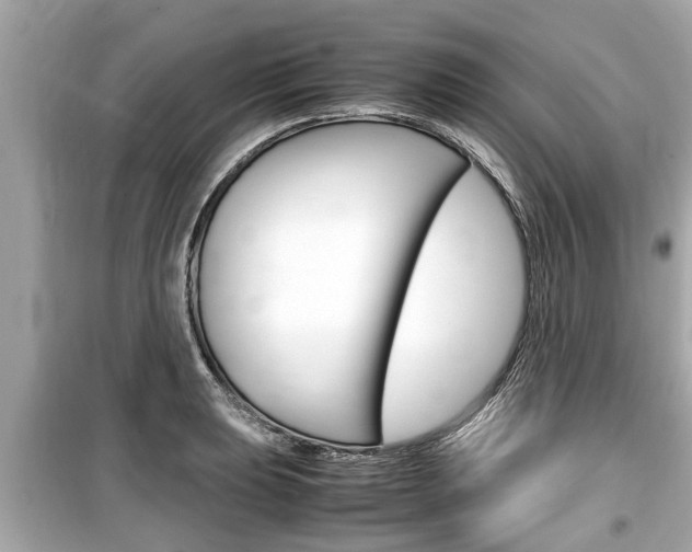 X0000099551039200805160721