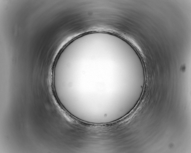 X0000099551040200805160721