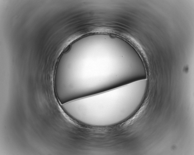 X0000099551041200805160721