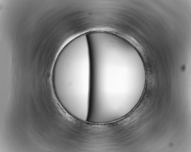 X0000099551044200805160721