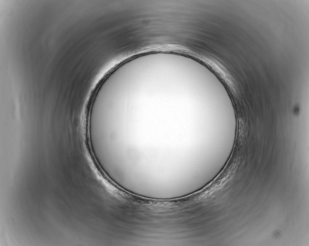 X0000099551046200805160721