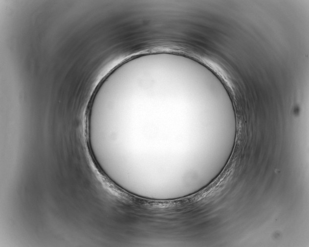 X0000099551047200805160722