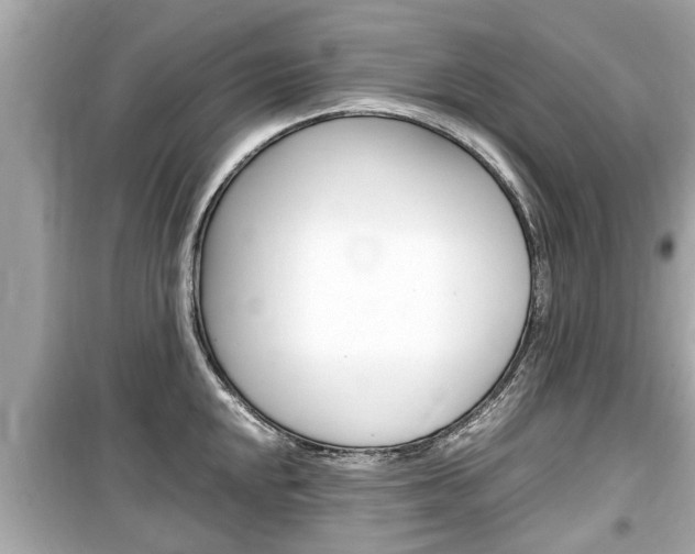 X0000099551048200805160722