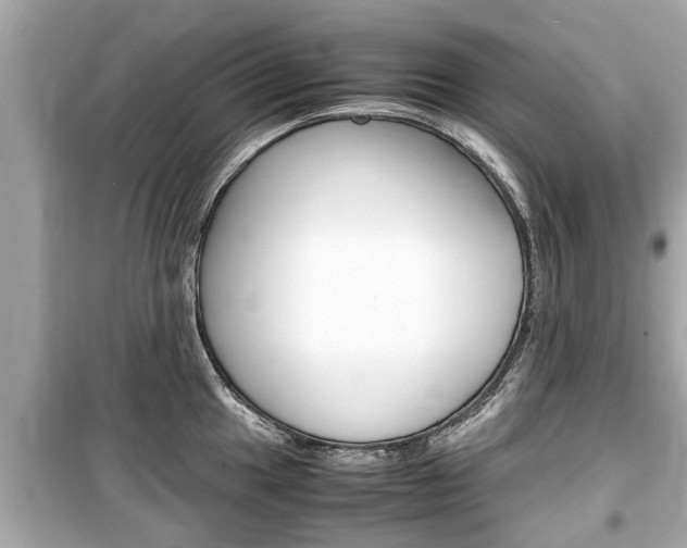 X0000099551049200805160722