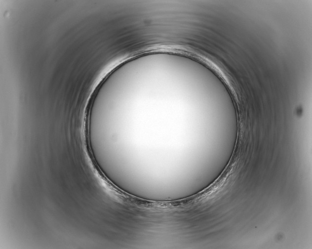 X0000099551050200805160722