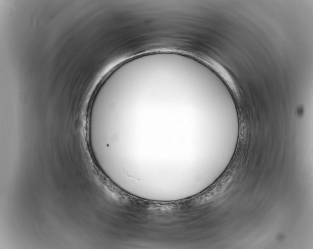 X0000099551051200805160722