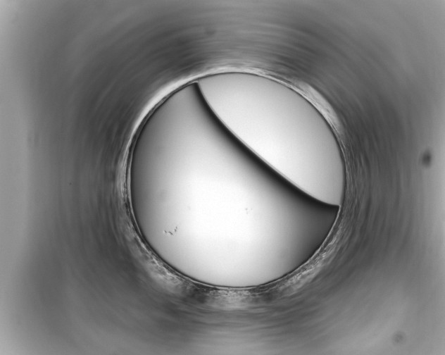 X0000099551052200805160722