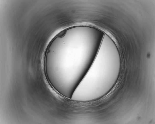 X0000099551054200805160722