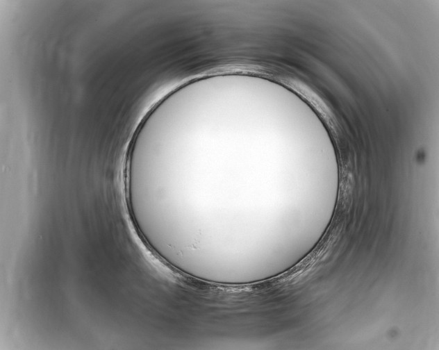 X0000099551055200805160722