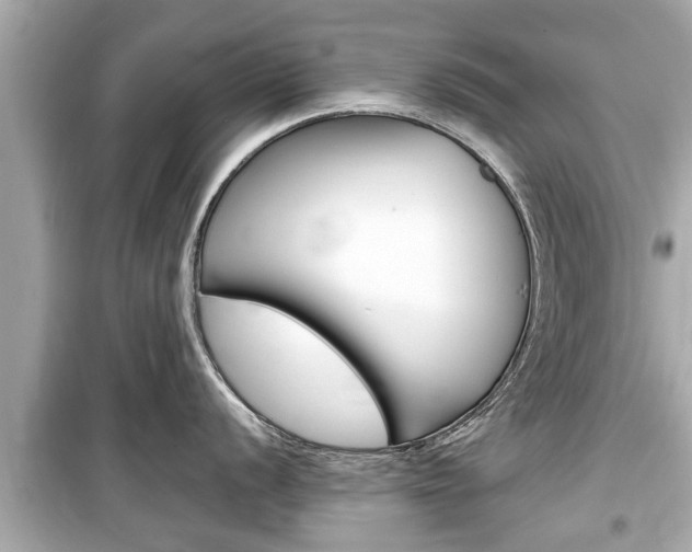 X0000099551056200805160722