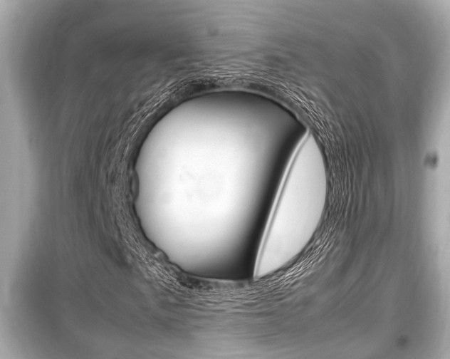X0000099551057200805160721