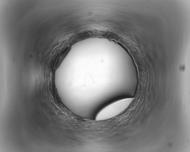 X0000099551061200805160721