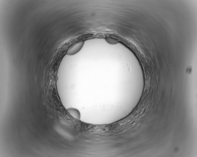 X0000099551063200805160721