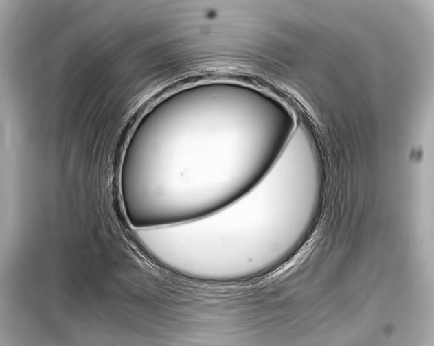 X0000099551065200805160721