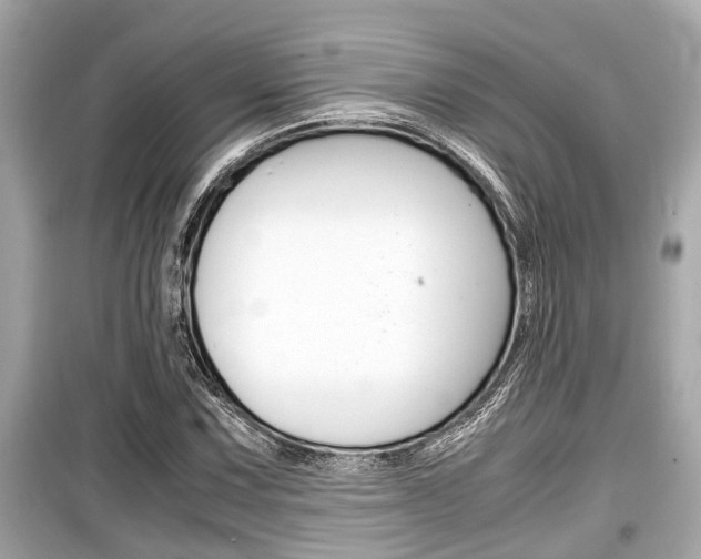 X0000099551067200805160721
