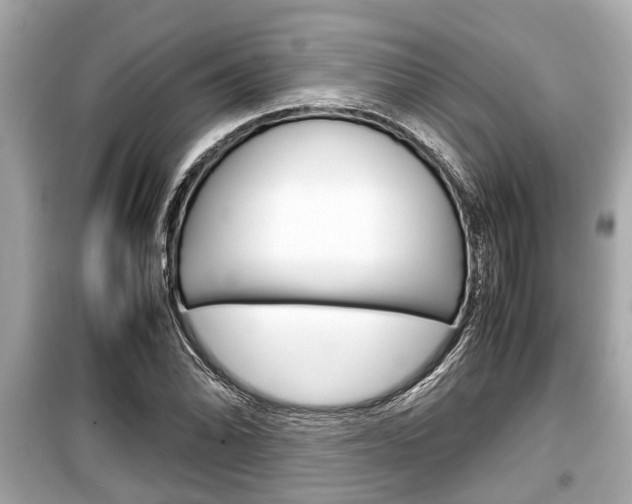 X0000099551070200805160721