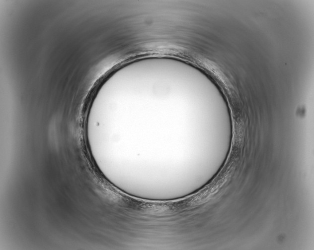 X0000099551071200805160721