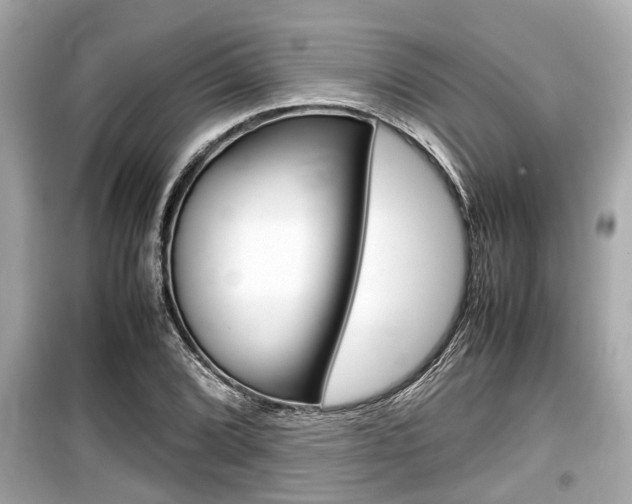 X0000099551072200805160721