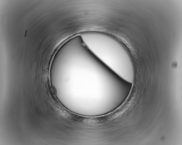 X0000099551073200805160721