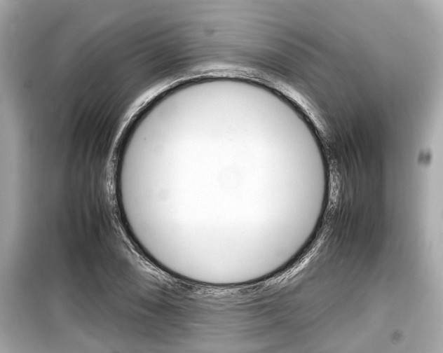 X0000099551074200805160721