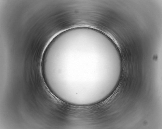 X0000099551076200805160721