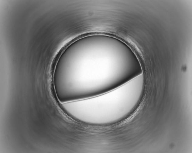 X0000099551077200805160721