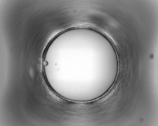 X0000099551079200805160720