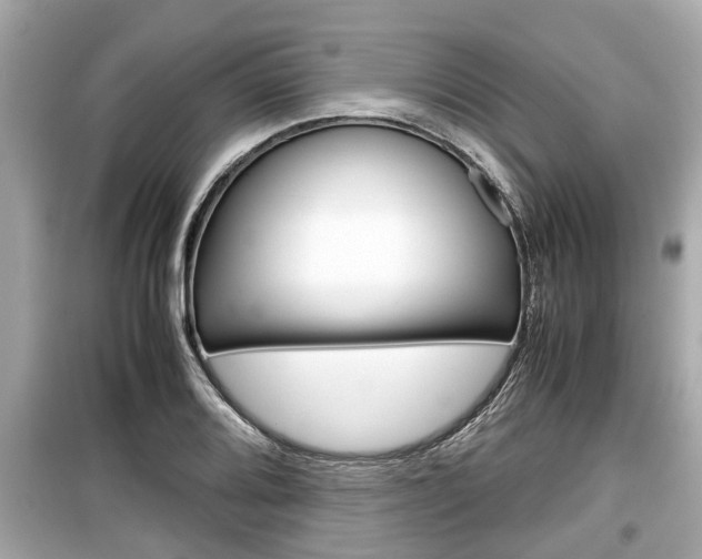 X0000099551080200805160720