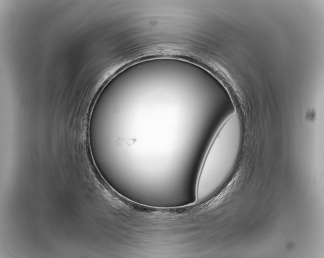 X0000099551081200805160720