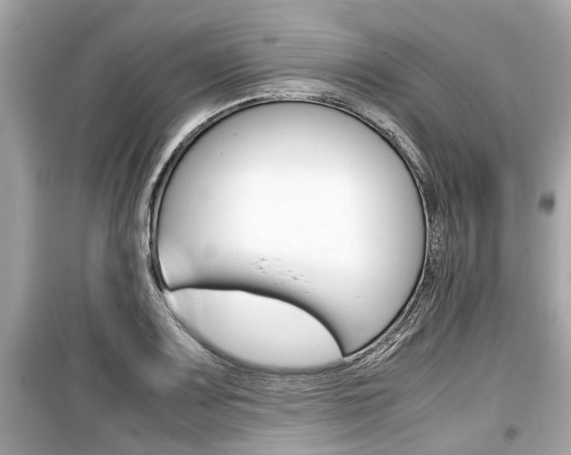 X0000099551083200805160720