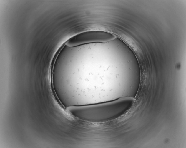 X0000099551084200805160720