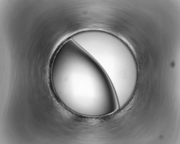 X0000099551085200805160720