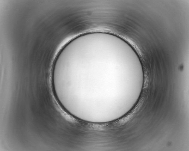 X0000099551086200805160720