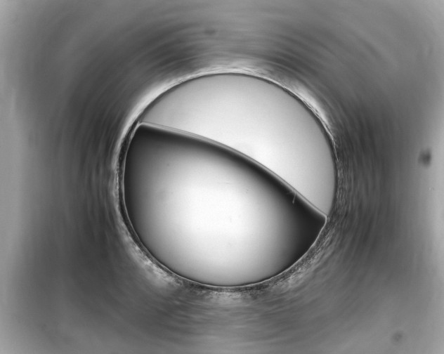 X0000099551088200805160720