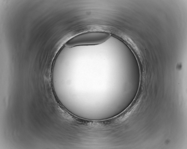 X0000099551089200805160720