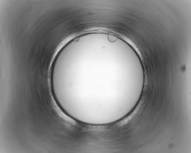 X0000099551090200805160720
