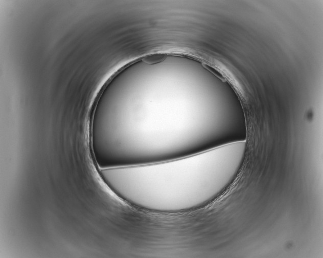 X0000099551092200805160720