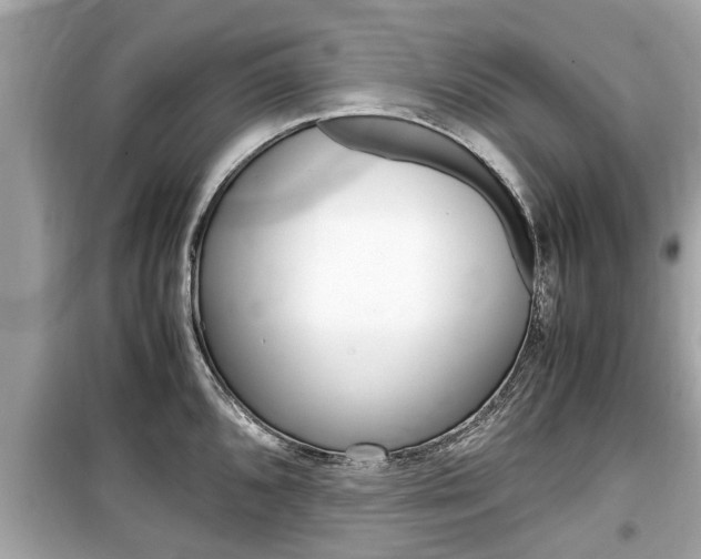 X0000099551096200805160720