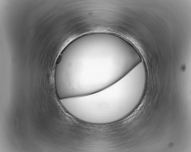 X0000099551097200805160720