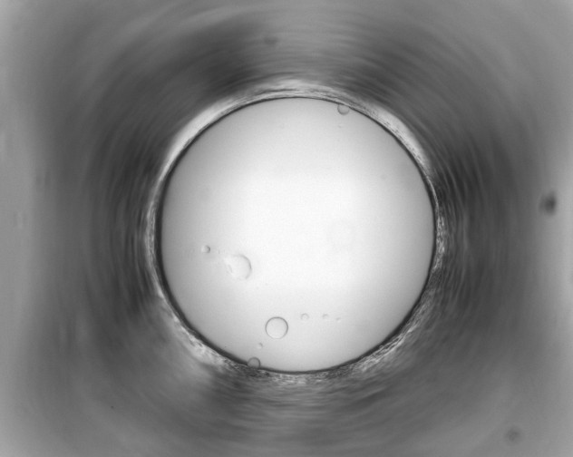 X0000099551098200805160720