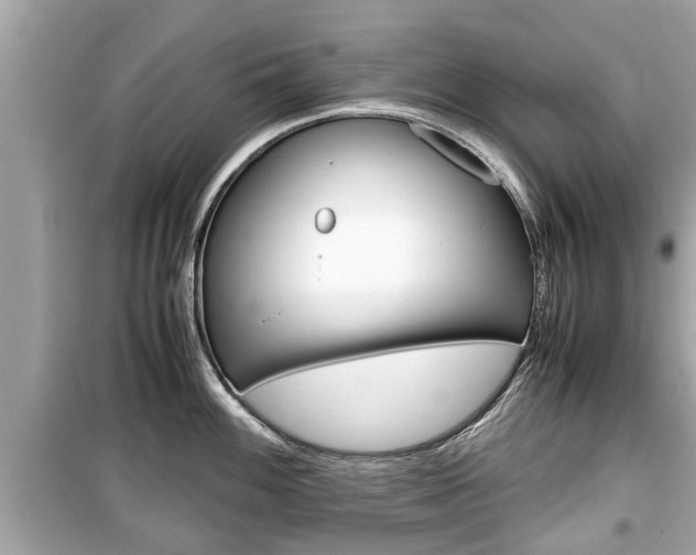 X0000099551100200805160720