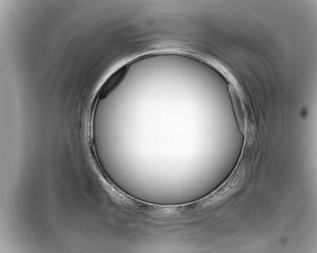 X0000099551101200805160720