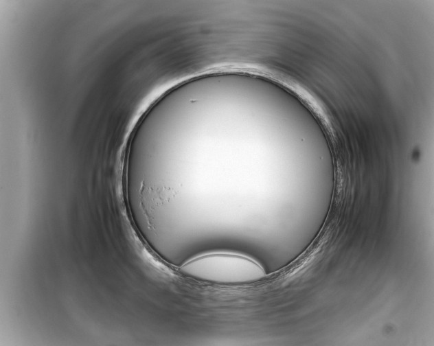 X0000099551102200805160720