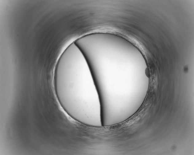 X0000099551103200805160720