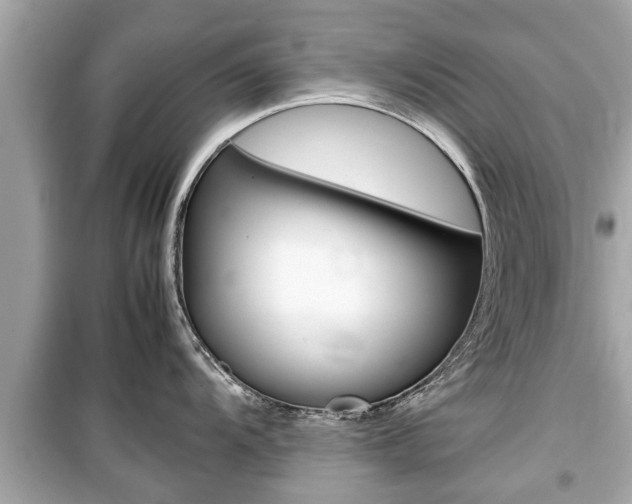 X0000099551104200805160720